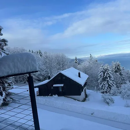 With Stunning View Chalé