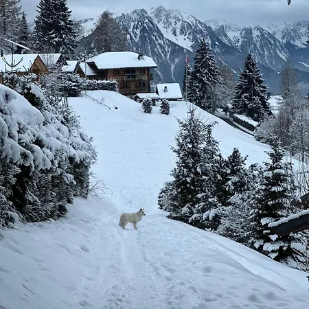 With Stunning View Chalet