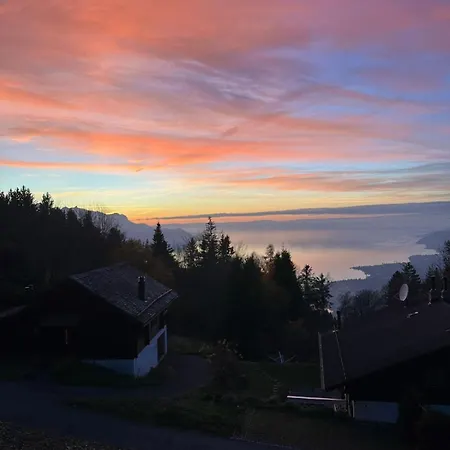 With Stunning View * Caux sur Montreux